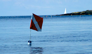 sdi-img-03